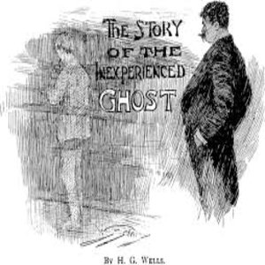 cover image of The story of the inexperienced ghost